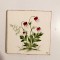 Placuta ceramica vintage suport pahar, cu flori de camp, 10x10cm, vechi