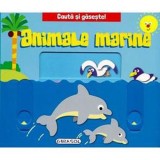 Cauta si gaseste - Animale marine - Girasol
