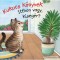 Kukucs K&ouml;nyvek - Itthon vagy, kiseg&eacute;r? - Ruby Warnecke