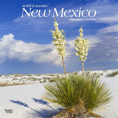 New Mexico Wild &amp;amp; Scenic 2024 Square foto