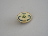 QW9 J 36 - Insigna - tematica sindicate - sindicate din silvicultura - F SL IL, Romania de la 1950