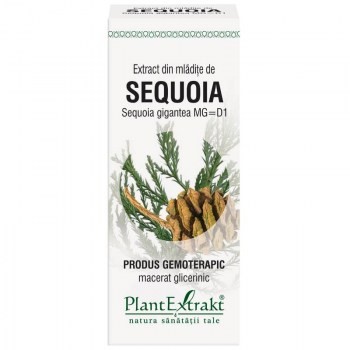 Extract Mladite Sequoia 50ml PlantExtrakt foto