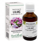 Extract din muguri de liliac 50ml