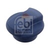 Febi Bilstein buson, vas expansiune