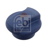 Febi Bilstein buson, vas expansiune