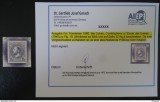 Romania Esseuri , Carol cu barba , Expertizat , NG/(*) (1)