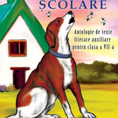 Lecturi școlare pentru clasa a VII-a. Antologie de texte literare - Paperback brosat - Mara Neacșu - Pescăruș