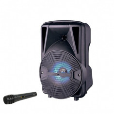 Boxa portabila 100W PMPO 1068 D cu bass puternic