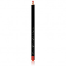 Illamasqua Colouring Lip Pencil creion contur buze culoare Spell 1,4 g