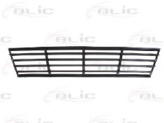 Grila ventilatie, bara protectie SEAT IBIZA IV (6L1) (2002 - 2009) BLIC 6502-07-6609995P
