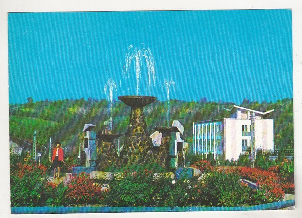 bnk cp Cehul Silvaniei - Vedere din parc - uzata