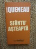 Sfantu&#039; Asteapta - Raymond Queneau