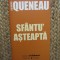 Sfantu&#039; Asteapta - Raymond Queneau