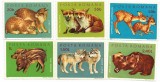 Romania (681) - Pui de animale salbatice, 1972 - serie neobliterata