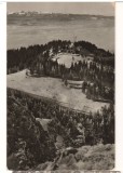 CPIB 22196 - CARTE POSTALA - POSTAVARUL. CABANA &quot;CRISTIANUL MARE&quot;