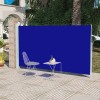 Copertină laterală pentru terasă/curte, albastru 160x300 cm