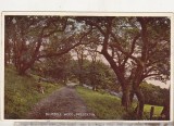 Bnk cp Tara Galilor - Prestatyn - circulata 1943, Printata