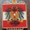 D3 - Magnet frigider - Tematica turism - Austria 10
