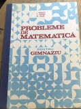 MNL MATE. Manuale - Probleme de Matematica pentru Gimnaziu