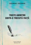 GHEORGHE I. GHEORGHE - TRISTE AMINTIRI DINTR-O TRECUTA VIATA