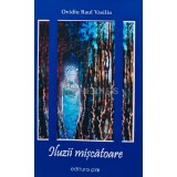 Iluzii miscatoare - 2011 - Ovidiu Raul Vasiliu (AR166)