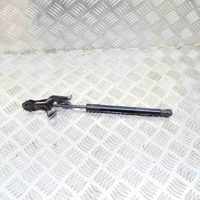 Amortizor capota dreapta față TESLA MODEL 3 2020 OEM: 1091472-00-B 12561053 foto
