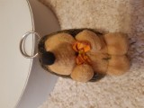 Mascota ratoi posac si arici Nicci