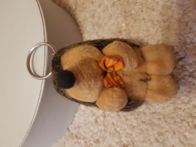mascota ratoi posac si arici Nicci foto