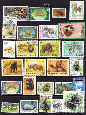 Fauna, lot uzat, stampilat foto