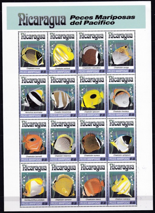 DB1 Fauna Marina Pesti din Pacific Nicaragua MS MNH