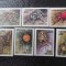 Tanzania-Fauna ,paianjeni-serie completa ,MNH