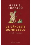 Cumpara ieftin Ce gandeste Dumnezeu? Putina teologie