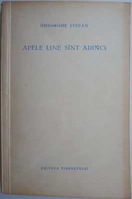 Apele line sunt adanci &amp;ndash; Gheorghe Stefan foto