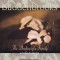Buddenbrooks: The Decline of a Family