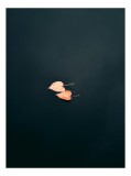 Tablou Canvas pe tema naturii - Dansul frunzelor, 26 x 39 cm, CMCLASS