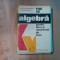 FISE DE ALGEBRA - N. Ghircoiasiu, M. Iasinschi - Editura Dacia,1976, 312 p.