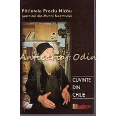 Convorbiri Cu Parintele Proclu Nicau - Fabian Anton
