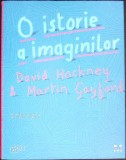 ISTORIA IMAGINILOR. DE LA PICTURA RUPESTRA LA ECRANUL DE COMPUTER-DAVID HOCKNEY, MARTIN GAYFORD-355204