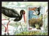BULGARIA 2000, Fauna, Pasari, serie neuzata, MNH, Nestampilat