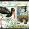 BULGARIA 2000, Fauna, Pasari, serie neuzata, MNH