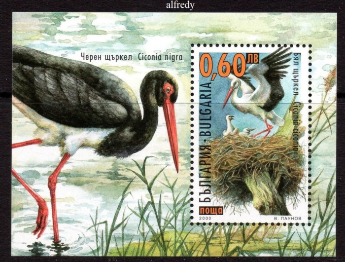 BULGARIA 2000, Fauna, Pasari, serie neuzata, MNH