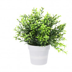 Planta Artificiala cu frunze ascutite verde inchis si deschis H 24 cm in ghiveci plastic alb 8.5x9cm foto