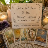 Etalare TAROT 5 LEI