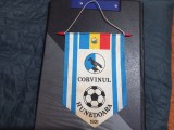 Fanion Corvinul Hd.