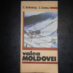 C. BRANDUS, C. GRASU - VALEA MOLDOVEI