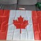 Steag Canada | Drapel imens 91 x 152 cm
