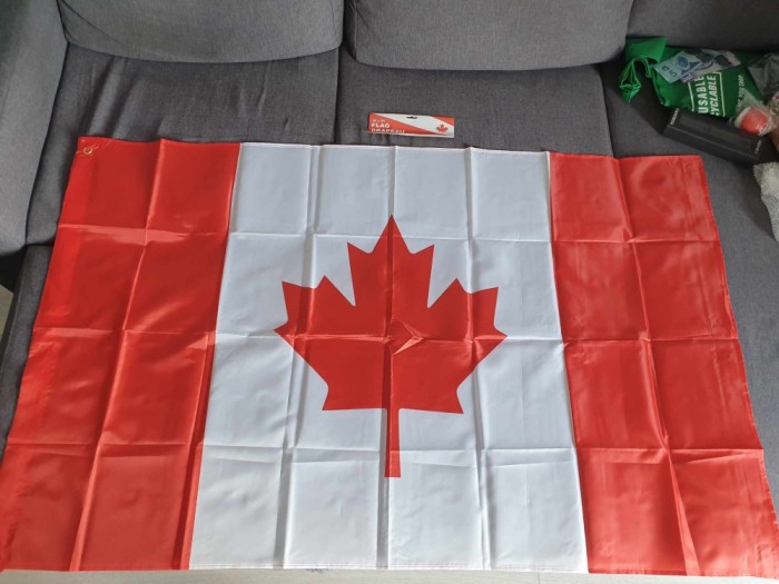 Steag Canada | Drapel imens 91 x 152 cm