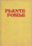 Plante fosile - Iustinian Petrescu
