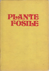 Plante fosile - Iustinian Petrescu foto