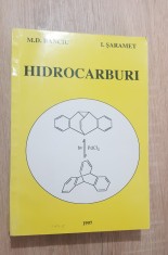HIDROCARBURI - Mircea D. Banciu, Ioana Șaramet foto
